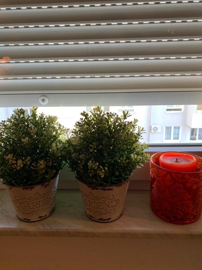 Sarmantni Apartman Malecka 2 Zagreb Dış mekan fotoğraf